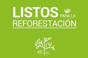 PORTADA LISTOS REFORESTACION